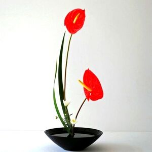 Elegant Red Anthurium Floral Arrangement